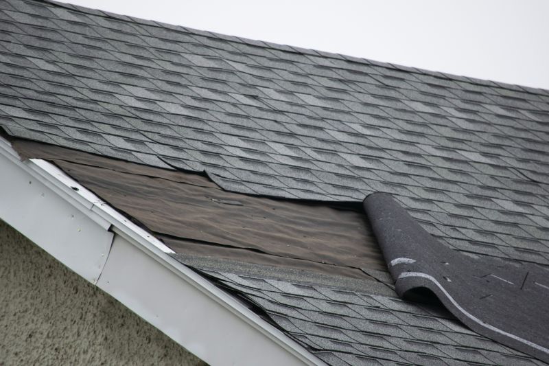 Asphalt Roof Repair Image 9